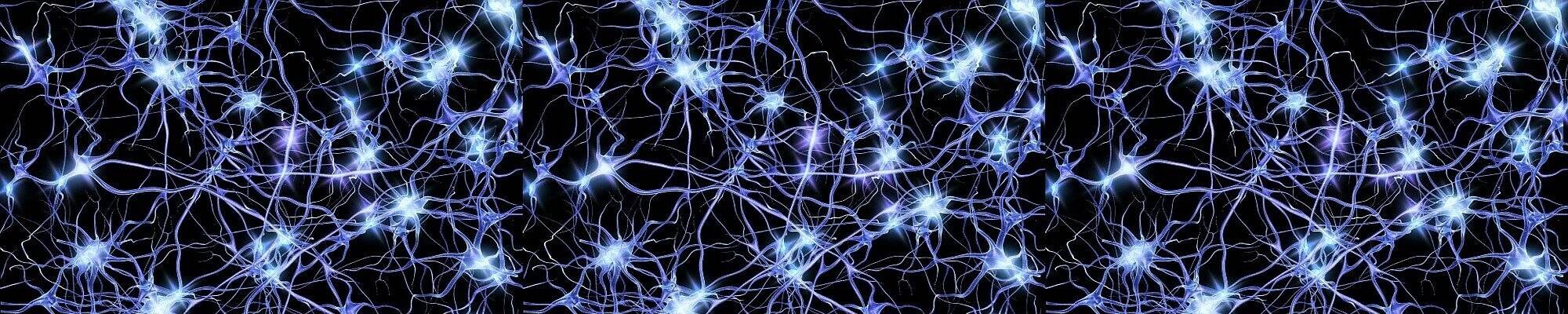 Nervous System